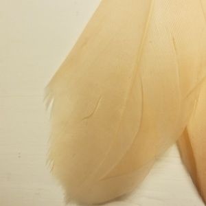 Jewelry - Feather earrings Jewelry - Feather earrings